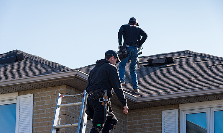 free roof inspections